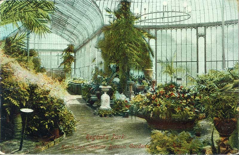 Hothouse, Botanic Gardens