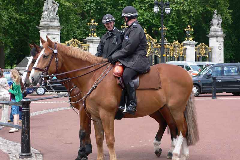 Mounted Police