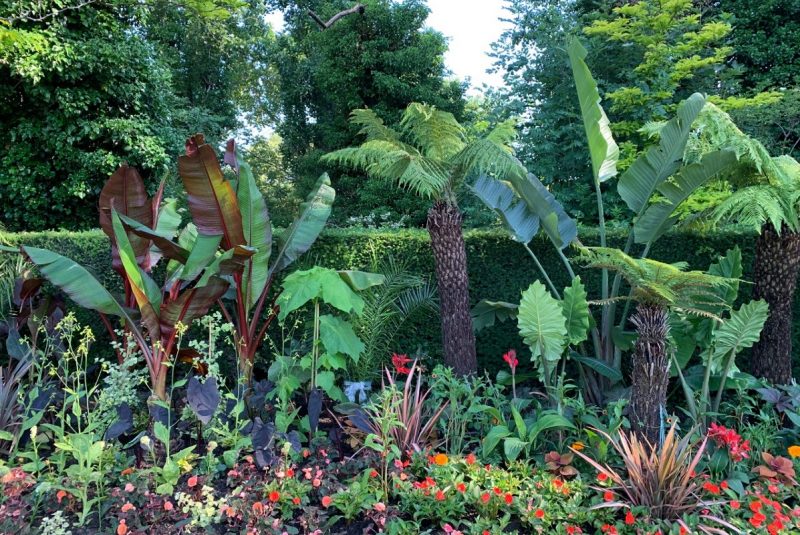 Jungle Border by Edward Kellow