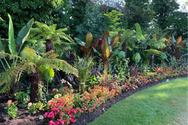 Jungle Border by Edward Kellow