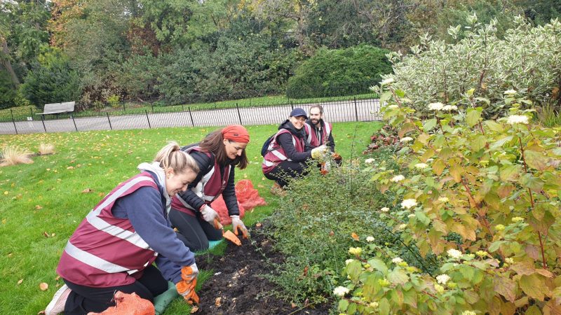 Autumn Bulb Planting - Volunteering - The Friends