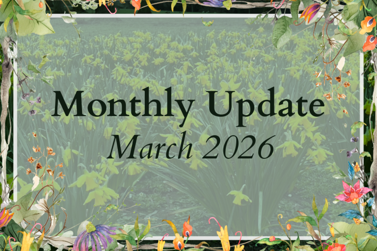 Monthly Update – March 2026