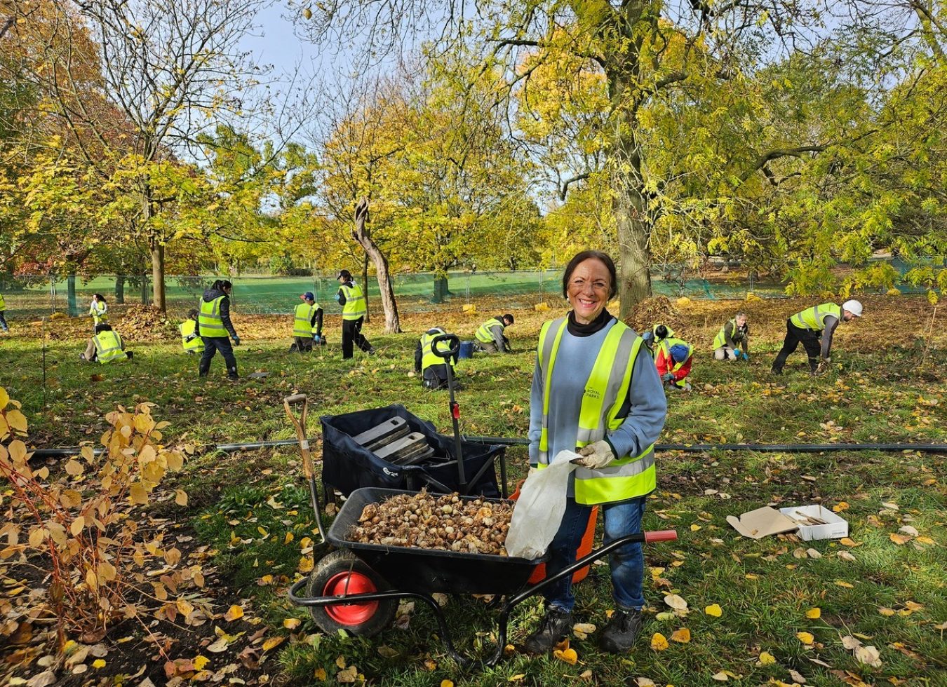 Bulb planting.MBjpeg