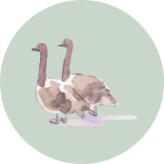 IconJoinUs_02