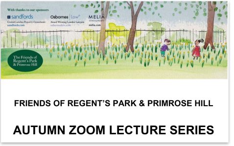 Autumn Zoom Lecture Series