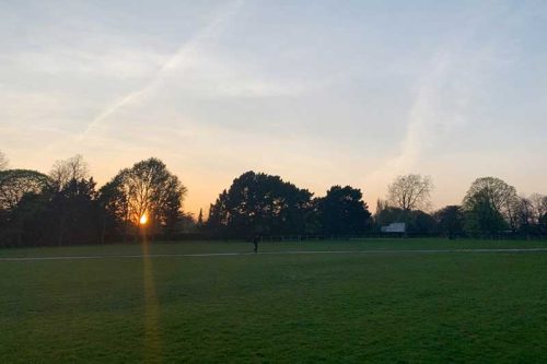 Ball Games - Families - Activities & Events