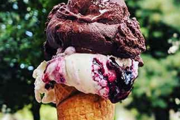 Icecream - Families - Activities & Events