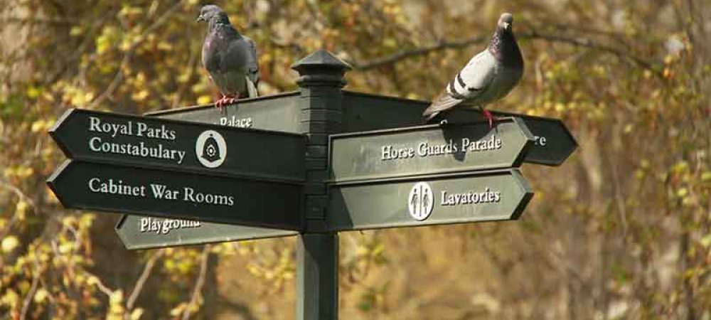 Royal Parks Constabulary